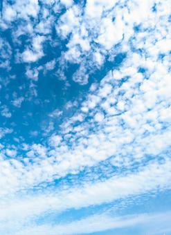 青空にたなびく雲 青空にたなびく雲の写真