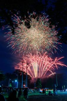 打ち上げ花火 打ち上げ花火 打ち上げ花火,花火,夜空の写真素材