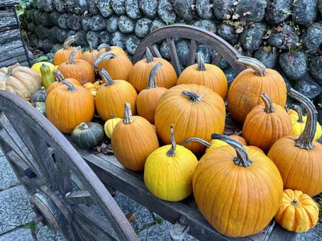 収穫祭のかぼちゃ かぼちゃ,ハロウィン,10月の写真素材