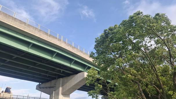 高速道路と木 高速道路と木の写真