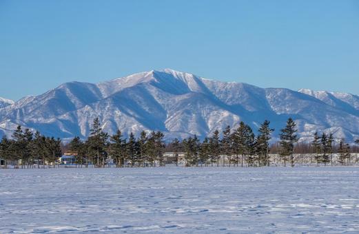 日高の山並みと冬の牧場 日高の山並みと冬の牧場の写真