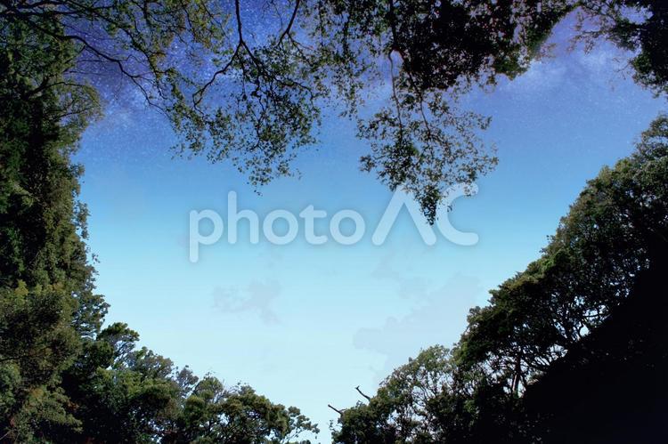 伊豆下田　龍宮窟から見上げるハートの青空 静岡県,伊豆,下田の写真素材
