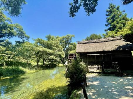 安曇野の水車小屋と清流 安曇野の水車小屋と清流 大王わさび農場,長野,安曇野の写真素材