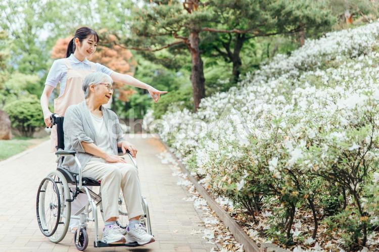 車椅子に乗った高齢者とスタッフ（花畑） 介護士,高齢者,看護師の写真素材