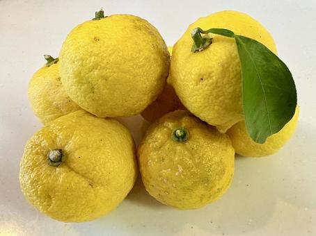 冬の果実　柚子② 冬至,柚子,風物詩の写真素材