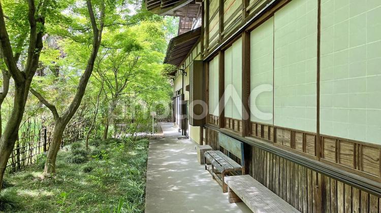 秩父34観音 33番 菊水寺 境内の風景 菊水寺,延命山,新緑の写真素材