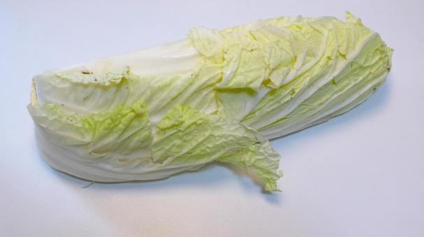 白菜 白菜 白菜,野菜,鍋の写真素材