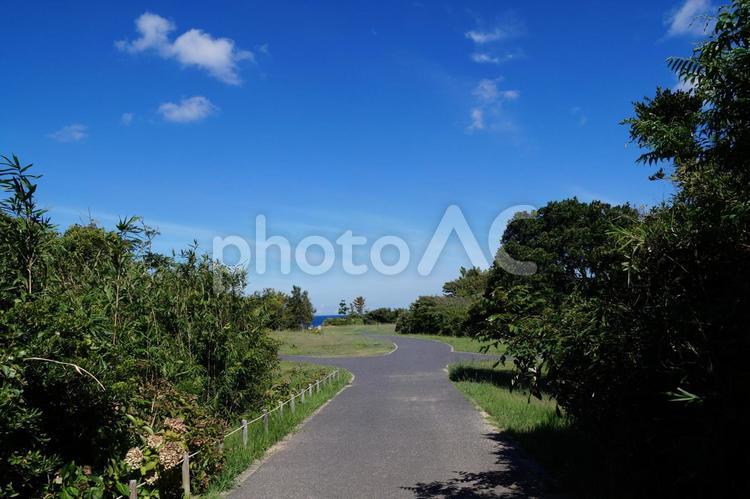 晴れた日の公園風景 空,晴れた日,晴れの写真素材