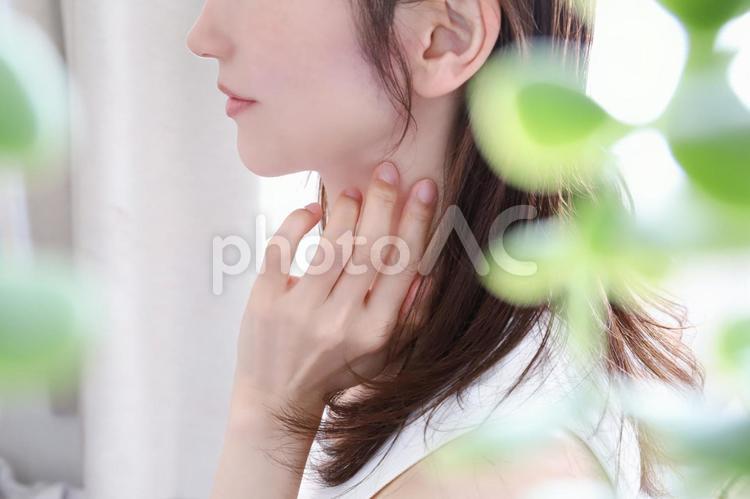 女性の横顔　フェイスライン 女性,横顔,フェイスラインの写真素材