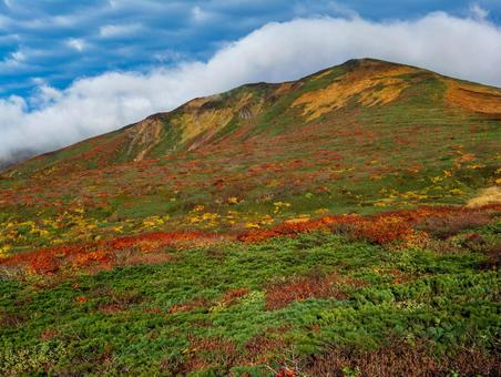 紅葉の栗駒山(須川岳) 紅葉の栗駒山(須川岳)の写真