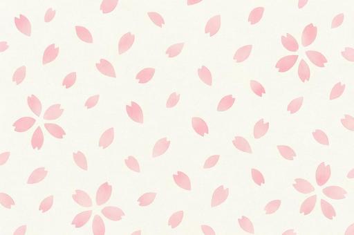 桜 背景 桜 背景の写真