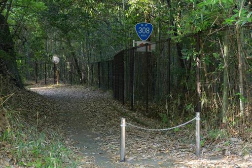 遊歩道となった国道308号 遊歩道となった国道308号 風景,道,自然の写真素材