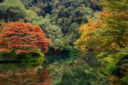 杭州・九溪 紅葉 九溪,杭州,中国の写真素材