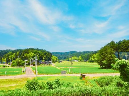 新潟ののどかな風景と夏空の車窓 青空,空,夏の写真素材