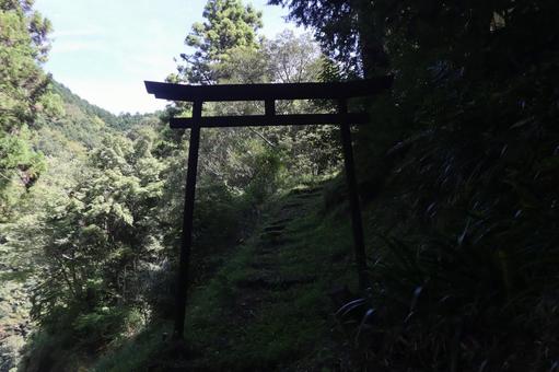 廃神社の鳥居 神社,廃墟,鳥居の写真素材