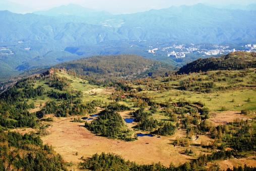 群馬県　初秋の芳が平湿原 群馬県,芳が平,高山植物の写真素材