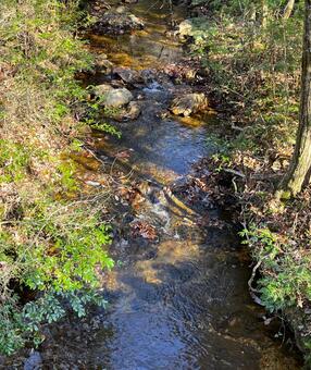 晩秋の風景 秋,晩秋,木の写真素材