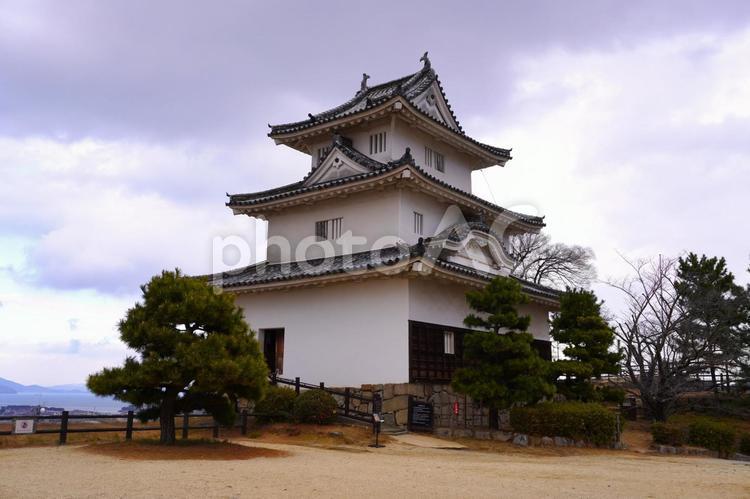 丸亀城（冬・曇り） 丸亀城,城,お城の写真素材