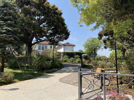 山下公園 山下公園 海,景色,ヨコハマの写真素材