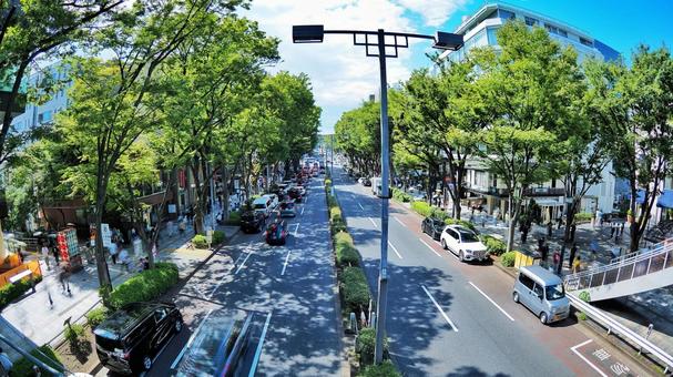 表参道 表参道 表参道,渋谷,原宿の写真素材