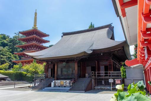 高幡不動 不動堂 高幡不動 不動堂 高幡不動,重要文化財,室町時代の写真素材