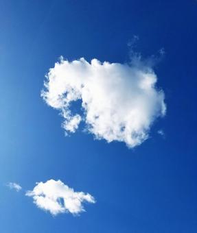 青空 青空の写真