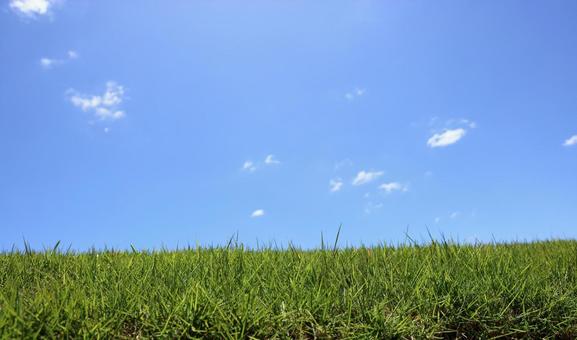 芝生と空 芝生と空 芝生,空,背景の写真素材