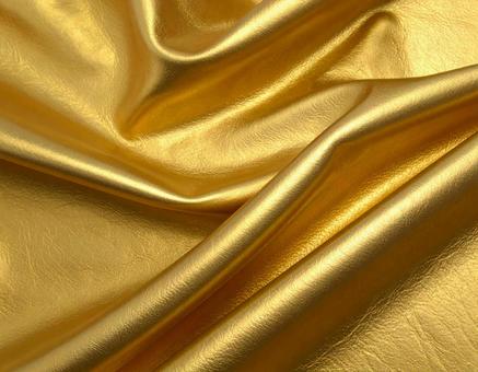金の革06 金の革06の写真