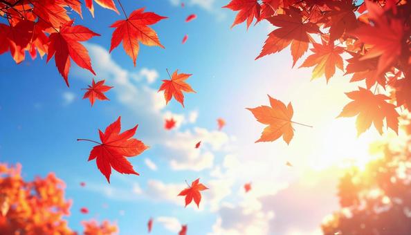 秋の紅葉の景色5 秋の紅葉の景色5の写真