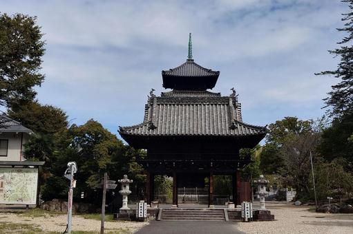 愛知県-興正寺-中門と五重塔 愛知県-興正寺-中門と五重塔 興正寺,寺,八事山の写真素材