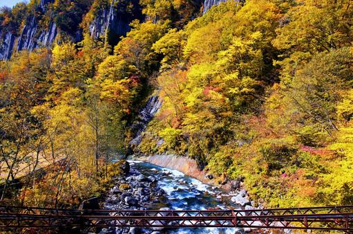 天人峡の紅葉 天人峡の紅葉 天人峡,崖,川の写真素材