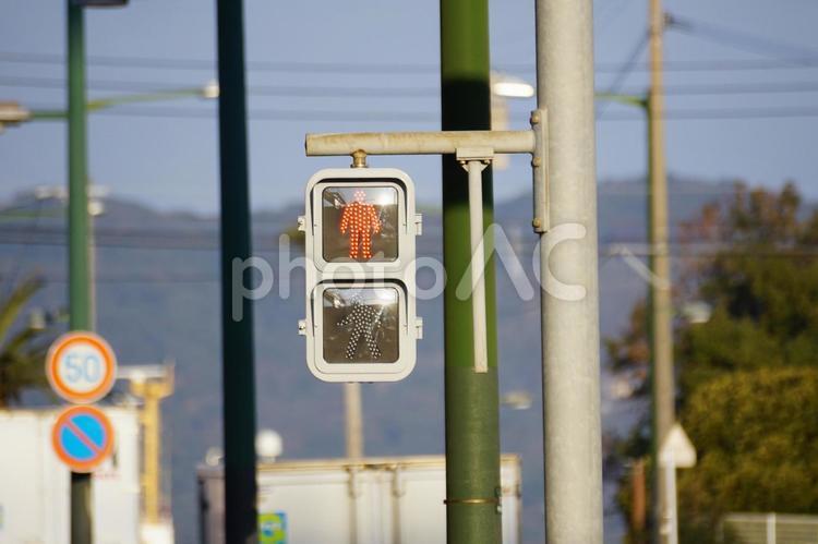 歩行者用信号機 信号機,交通,シグナルの写真素材