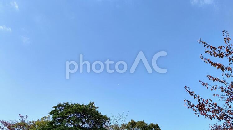 そら 青い空,何人もありません,自然の写真素材