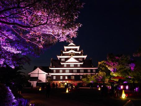 ライトアップされた岡山城天守閣 岡山城,ライトアップ,夜の写真素材