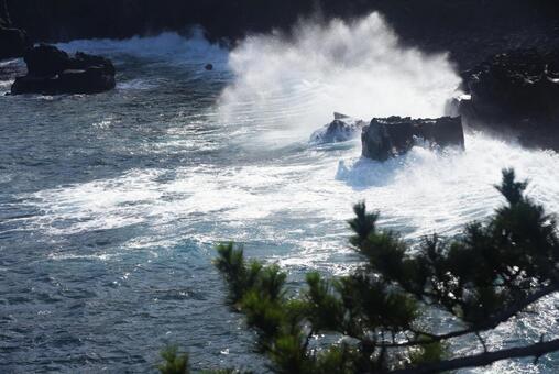 海 波 海 波の写真