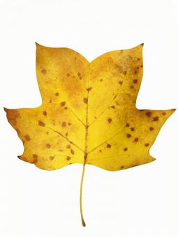 Photo, october, november, grime, 