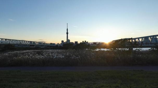 Yotsugi - Sunset and Skytree, JPG Yotsugi - Sunset and Skytree, JPG