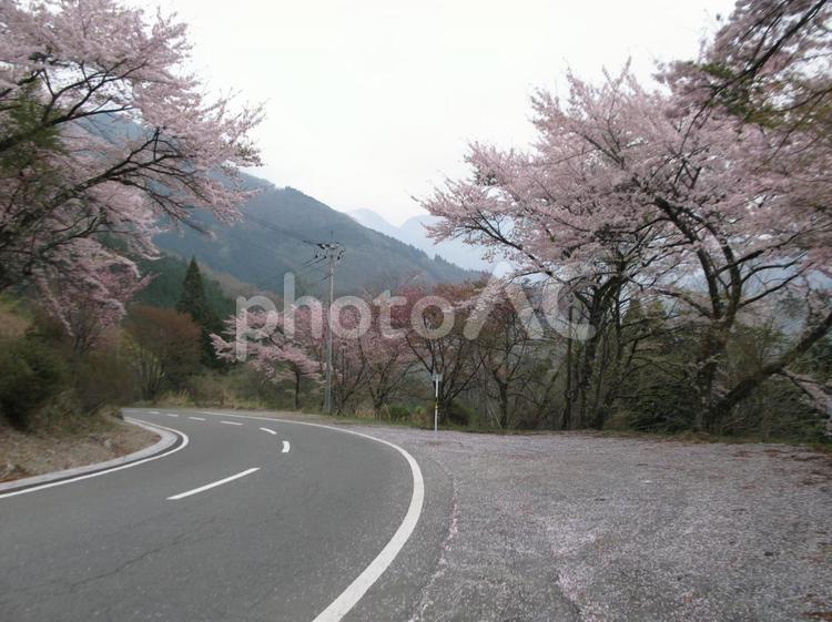 秩父　三峰山麓の風景　9 埼玉,秩父,三峰山の写真素材