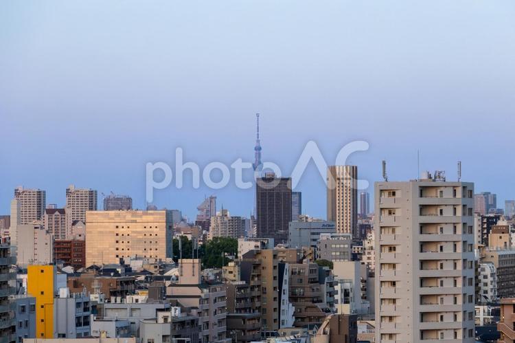 東京の夕暮れスカイライン 東京,夕暮れ,スカイラインの写真素材