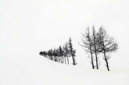 雪降る丘と林、イメージ処理 木々,雪原,冬の写真素材