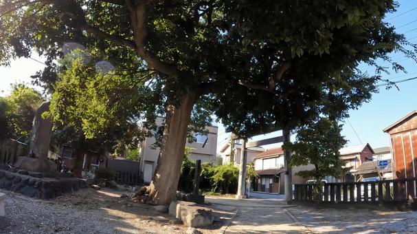 日本、埼玉県行田市行田　 愛宕神社  埼玉,行田市行田,愛宕神社の写真素材