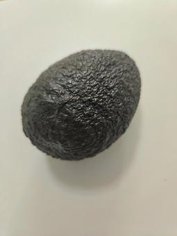 Avocado front 1, JPG Avocado front 1, JPG