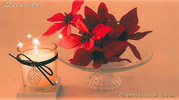 クリスマス4 クリスマス,サンタクロース,ツリーの写真素材