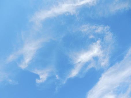 【風景写真】夏空の写真