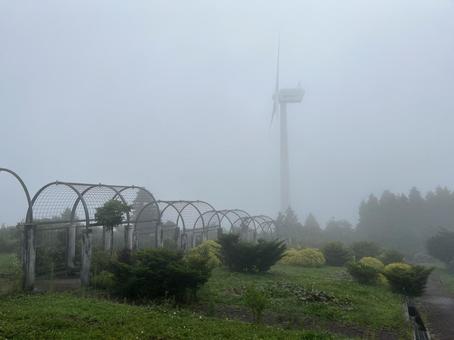 Photo, kochi prefecture, ootake-cho, play with the wind, 