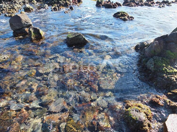 七尾北湾の水面 12月,イメージ,シルエットの写真素材