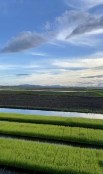 Early summer scenery 3, JPG Early summer scenery 3, JPG