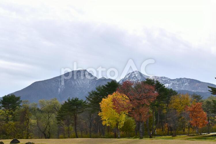諸橋近代美術館 中庭,北塩原村,磐梯山の写真素材