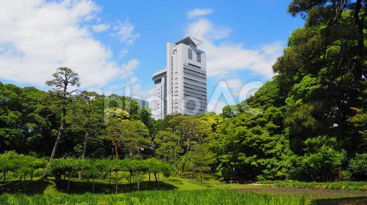 小石川後楽園・新緑の木々と街並み・文京区 夏,小石川後楽園,文京区の写真素材