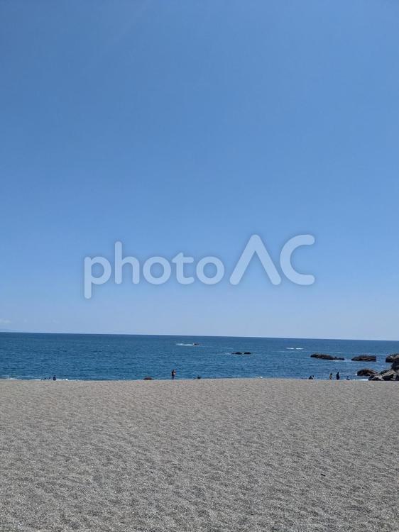 桂浜海岸（縦） 海,ビーチ,砂浜の写真素材